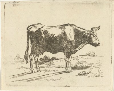 Stehende Kuh von Jan Dasveldt