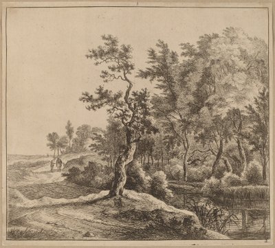 Landschaft mit einer kurvenreichen Straße von Jan Hackaert