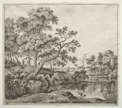 Der gebogene Baum von Jan Hackaert