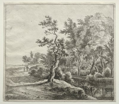 Die Serpentinenstraße von Jan Hackaert