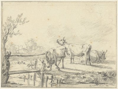 Kühe auf einer Wiese von Jan Kobell (II)