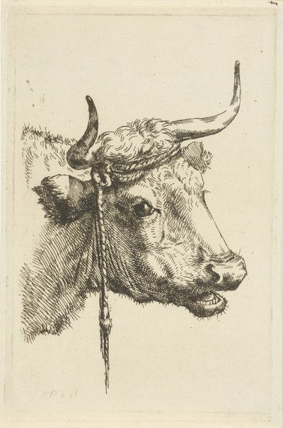 Kopf einer Kuh von Jan Kobell (II)