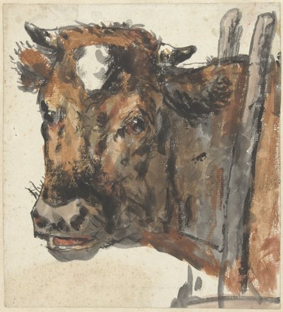 Kopf einer Kuh von Jan Kobell (II)
