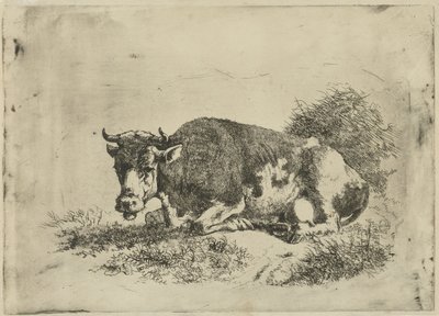 Liegende Kuh von Jan Kobell (III)