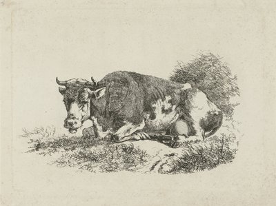 Liegende Kuh von Jan Kobell (III)