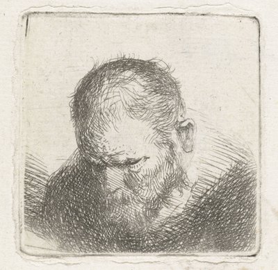 Mann mit Bart von Jan Lievens (possibly)
