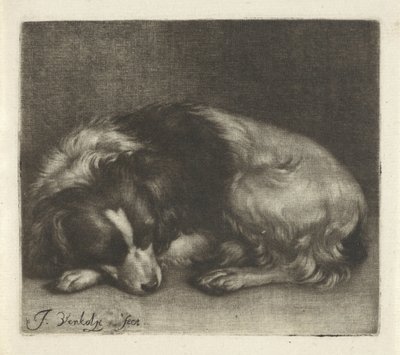 Schlafender Hund, möglicherweise ein Spaniel von Jan Verkolje (I)