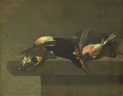 Tote Vögel von Jan Vonck