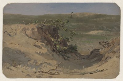 Dünenpfanne von Jan Willem van Borselen