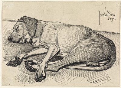 Schlafender Hund, nach links von Jan van Essen