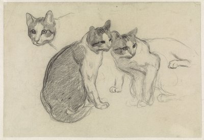Studienblatt mit Katzen von Jan van Essen