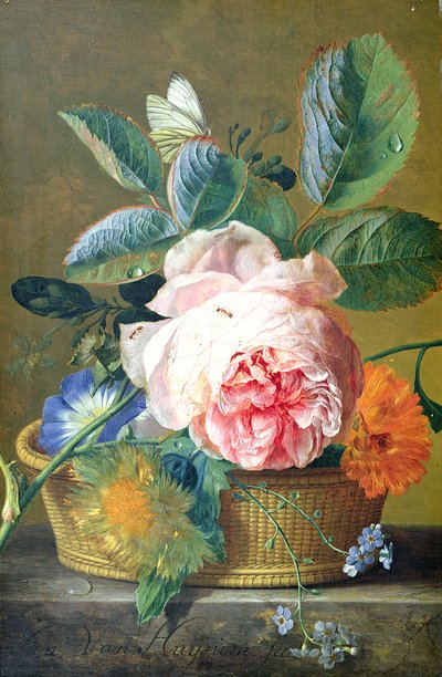 Ein Korb mit Blumen, 1740-45 von Jan van Huysum
