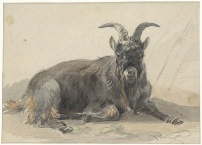 Liegender schwarzer Ziegenbock von Jan van Ravenswaay