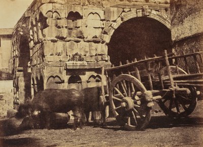 Büffelwagen, Rom von Jane Martha St. John
