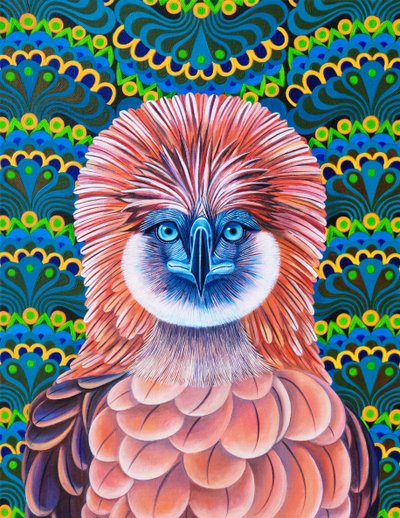 Philippinenadler von Jane Tattersfield