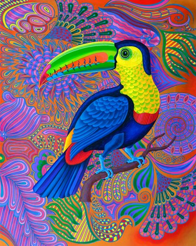 Tukan, 2021 von Jane Tattersfield
