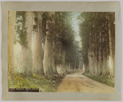 Imaichi-Straße, Nikko, Japan (handkoloriertes s/w Foto) von Japanese Photographer