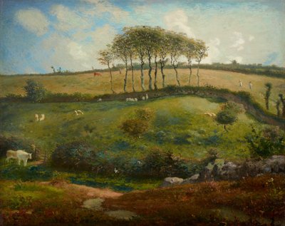 Weide bei Cherbourg (Normandie) von Jean Francois Millet