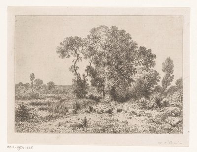 Baumgruppe bei einem Sumpf von Jean Alexis Achard
