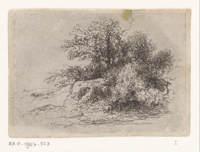 Gestrüpp von Jean Alexis Achard