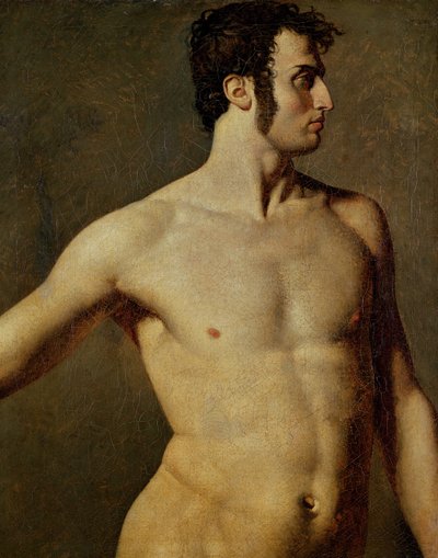 Männlicher Torso von Jean Auguste Dominique Ingres