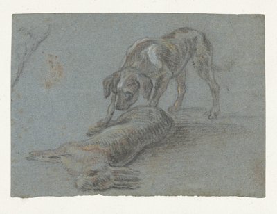 Hund bei einem geschossenen Hasen von Jean Baptiste Oudry (possibly)