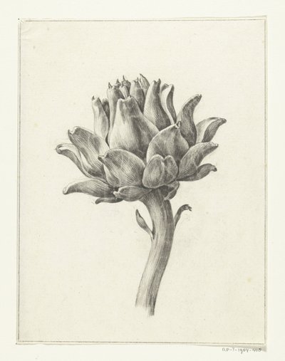Artischocke von Jean Bernard
