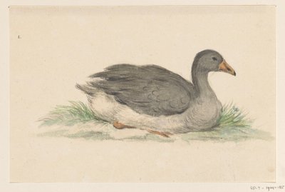 Ente, nach rechts von Jean Bernard