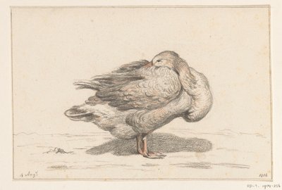 Gans von Jean Bernard