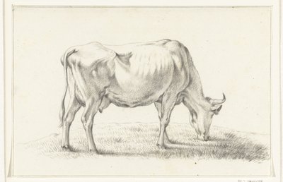 Weidende Kuh, nach rechts von Jean Bernard