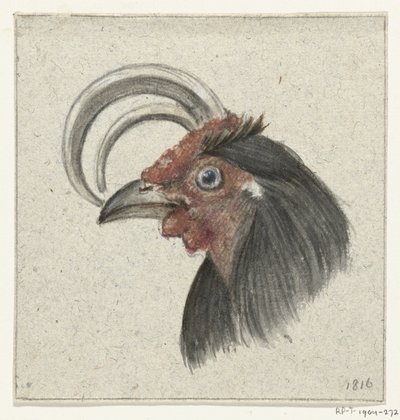 Kopf eines Hahns von Jean Bernard