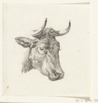 Kopf einer Kuh von Jean Bernard