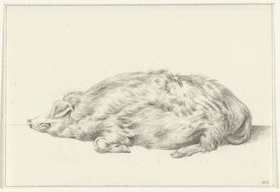 Liegendes Schwein, nach links von Jean Bernard