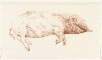 Liegendes Schwein, nach rechts von Jean Bernard