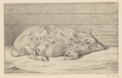 Liegendes Schwein, nach rechts, gegen eine Schutzwand von Jean Bernard