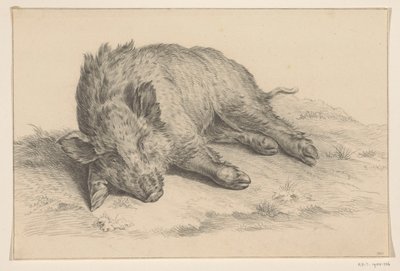 Liegendes Wildschwein von Jean Bernard