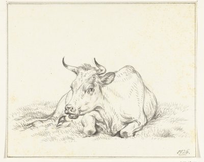 Liegende Kuh, von vorne von Jean Bernard