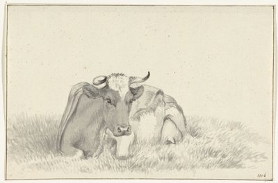 Liegende Kuh, von vorne von Jean Bernard