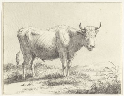 Stehende Kuh, nach rechts von Jean Bernard