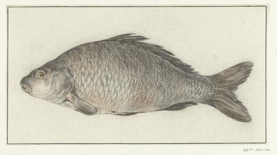 Fisch von Jean Bernard