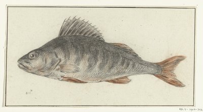 Fisch von Jean Bernard