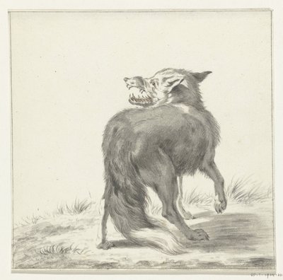 Fuchs von Jean Bernard