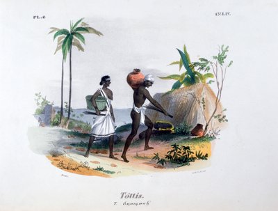 Tottis, 1828 von Jean Henri Marlet