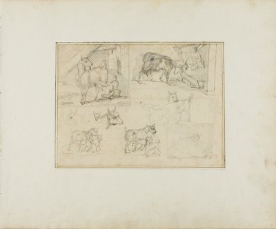 Skizzen von Ziegen von Jean Louis André Théodore Géricault