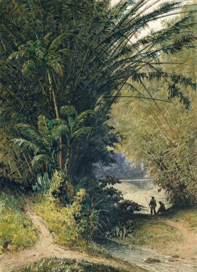 Ein Bambushain in Trinidad von Jean Michel Cazabon
