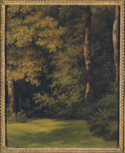 Eine Lichtung im Wald, 1840 von Jean Michel Cels
