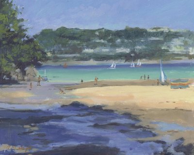 Salcombe Millbay Morgen von Jennifer Wright