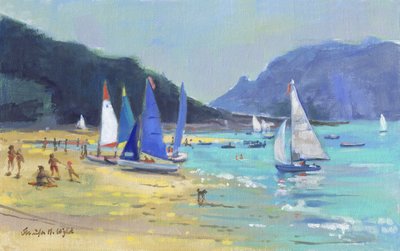 Segelboote in Salcombe von Jennifer Wright