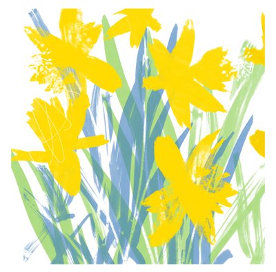 Frühlingsnarzissen von Jenny Frean