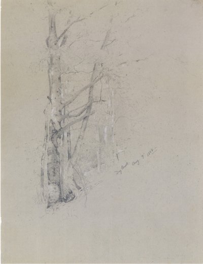 Trockener Bach, 1888 von Jervis McEntee